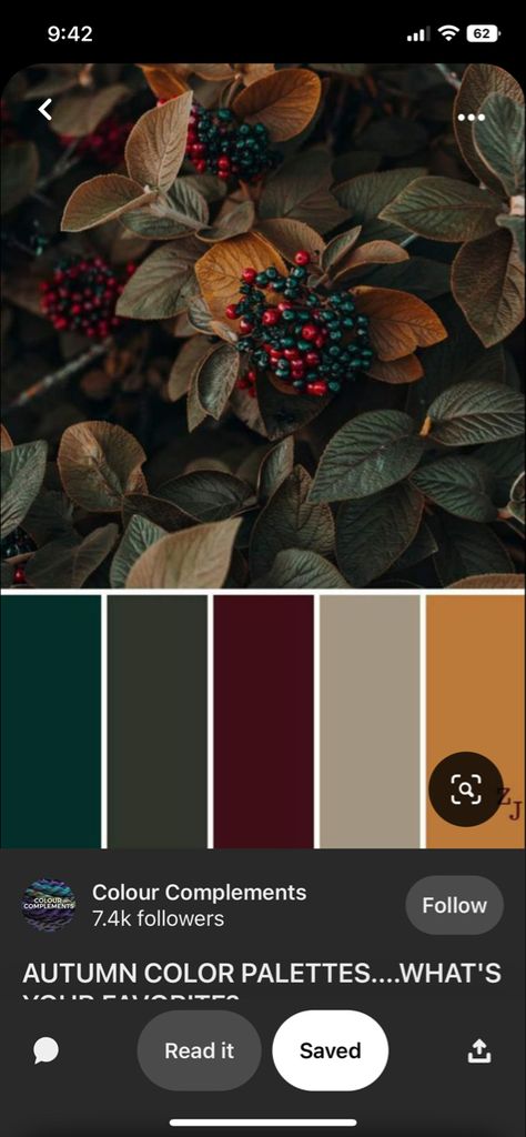 Maroon Decor, Hunter Green Wedding, Burgundy Colour Palette, Jewel Tone Color Palette, Color Palette Living Room, Green Wedding Colors, Forest Color, Green Color Schemes, Green Palette