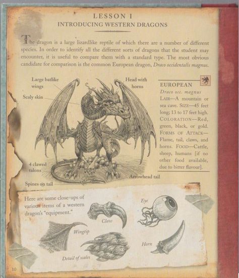 Dragonology Aesthetic, Book Of Dragons, Dragon Information, Dragon Book, Dragon Lore, Dragonology Illustrations, Dragon Journal, Mythical Creatures Journal, Httyd Book Of Dragons Pages