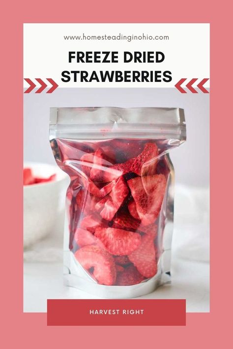 How to make freeze dried strawberries. How to make freeze dried fruit for food preservation. Freeze dried strawberries recipe to use a Harvest Right freeze dryer at home. Freeze dried food can be preserved for 25 years! Freeze dried strawberries are easy to make with minimal prep. Freeze dry strawberries to eat later. Freeze drying food recipes are great for a homesteader or prepper. Dried Strawberries Recipe, Freeze Dry Strawberries, Dry Strawberries, Dehydrated Strawberries, Salt Scrub Recipe, Harvest Right Freeze Dryer, Freeze Dried Food, Freeze Dryer, Fruit Machine