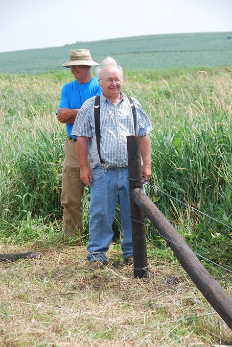 Building High Tensile Fence High Tensile Fence, Building A Fence, Iowa, Fence, Building