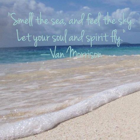 "Smell the sea and feel the sky.  Let your soul and spirit fly." ~~Van Morrison~~ Van Morrison Tattoo, Music Journaling, Everything Lyrics, Eclectic Music, Lyrics Tattoo, Sarah Ann, Van Morrison, Music Is My Escape, Ocean Quotes