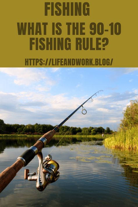 Fishing Pole Storage, Trout Fishing Tips, Fishing For Beginners, Bass Fishing Tips, Walleye Fishing, Fishing Diy, Crappie Fishing, Fishing Techniques, Fishing Quotes