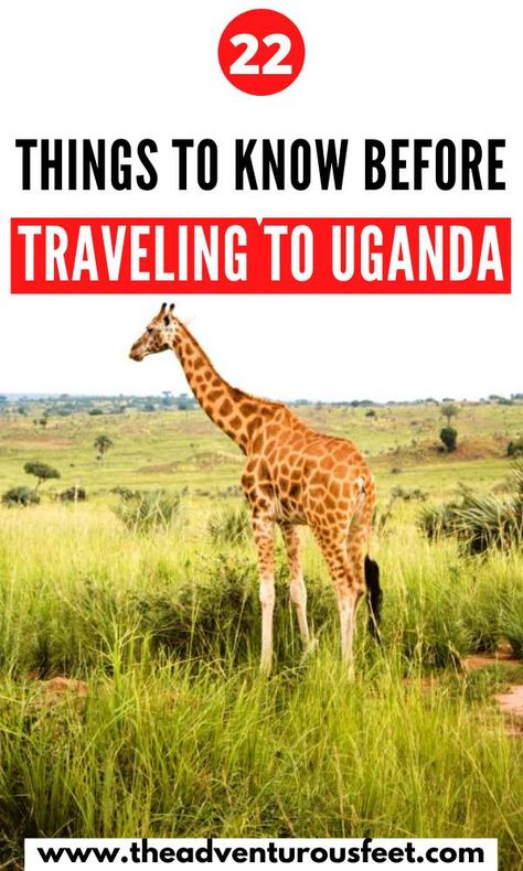 Uganda travel tips: 22 Things to know before traveling to Uganda Best Time To Travel, Uganda Africa, Uganda Travel, Best Countries To Visit, Africa Travel Guide, Facebook Contest, Visit Africa, Time To Travel, Tourist Guide