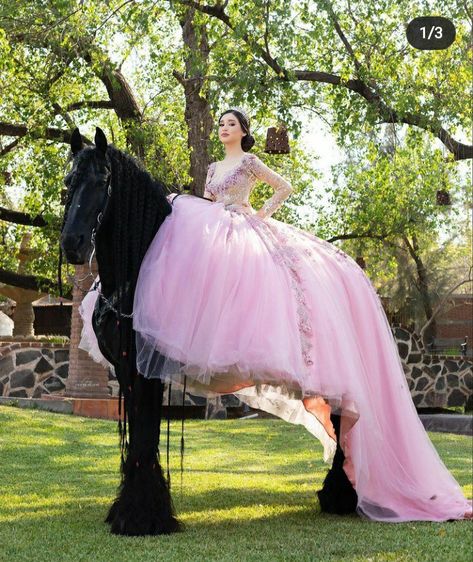 Quince Picture Ideas, Right Wedding Dress, Quinceañera Photoshoot Ideas, Quince Photoshoot Ideas, Horse Photoshoot Ideas, Quince Pictures, Quinceanera Pictures, Weird Colors, Quinceanera Pink