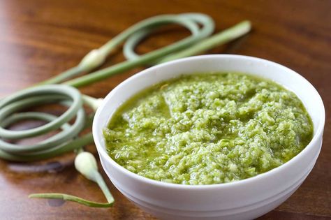 Garlic Scape Pesto Scape Pesto Recipe, Pesto Uses, Scape Pesto, Chicken Appetizer Recipes, Mexican Food Recipes Appetizers, Garlic Scape Pesto, Ambrosia Recipe, Garlic Scapes, Tasty Kitchen