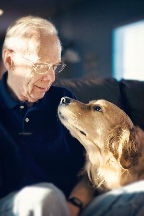 Photography Men, Dog Magazine, Emotional Support Animal, Therapy Animals, Pet Pet, Modern Dog, Service Animal, Golden Retrievers, Dog Photography