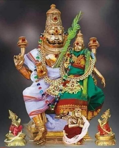 Laxmi Narasimha Swamy, Narsimha Swamy, Lakshmi Narasimha Swamy, Lakshmi Narsimha, Lord Narasimha, Hindu Statues Goddesses, Lakshmi Narasimha, Narasimha Swamy, Indian Freedom Fighters