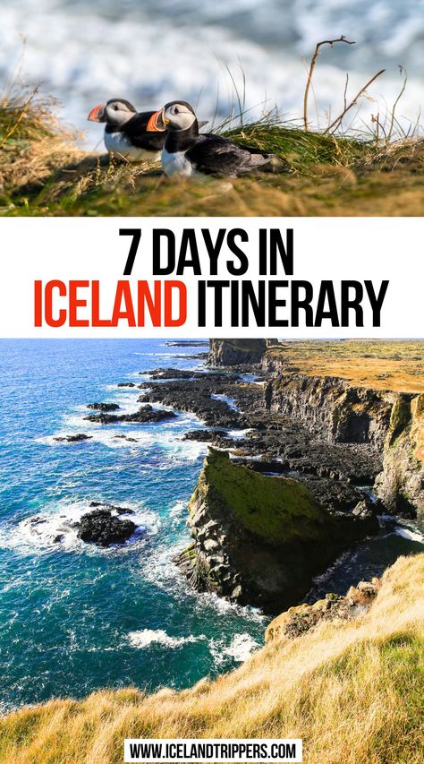 7 Days in Iceland Itinerary 7 Days In Iceland, 5 Days In Iceland, Places To Visit In Iceland, Iceland Travel Itinerary, Iceland Honeymoon, Things To Do In Iceland, 7 Day Itinerary, Backpack Through Europe, European Itineraries