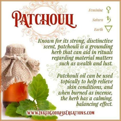 Wicca Herbs, Witchcraft Herbs, Magickal Herbs, Witch Herbs, Magic Herbs, Magical Herbs, Patchouli Oil, Herbal Healing, Herbal Magic