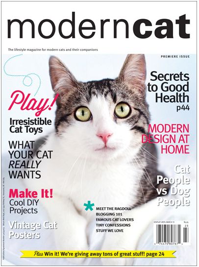 Moderncat Magazine: For Modern Cats (and their companions) Cat Life Hacks, Pet Magazine, Animal Magazines, Cat Magazine, Cat Expressions, Cat Language, Cat Body, Best Bond, Modern Dog