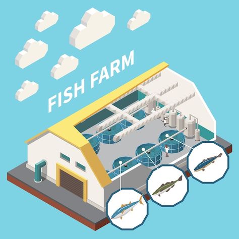 Free vector industrial seafood fish farm... | Free Vector #Freepik #freevector #fish-farm #aquaculture #fish-farming #trout Isometric Interior, Fish Farm, Interior View, Fish Farming, Seafood, Roof, Vector Illustration, Fish