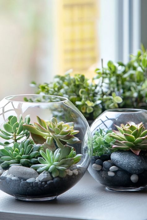 A visually appealing terrarium featuring a diverse array of unique plant arrangements, perfect for enhancing home decor. Unique Succulent Planter Ideas, Moss Terrarium Ideas, Succulent Terrarium Ideas, Crystal Terrarium Diy, Homemade Terrarium, Terrarium Care, Diy Terrarium Ideas, Plants In Glass Jars, Unique Terrarium