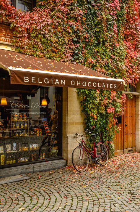 Chocolates? by CHRIS TAYLOR • Follow  Antwerpen, Belgium Brussels Travel, Bruges Belgium, Belgium Travel, Antwerp Belgium, Chocolate Shop, Brussels Belgium, Belgian Chocolate, Travel Aesthetic, Sicily