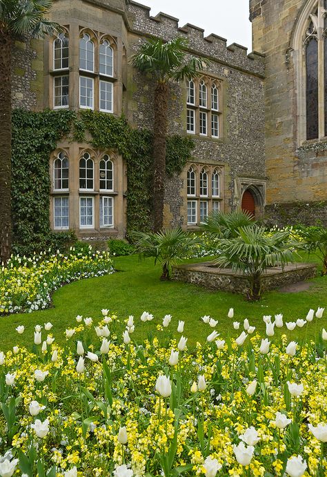 Garden Castle Aesthetic, Castle Courtyard Garden, Boarding School Courtyard, Small Castle Exterior, Castle Courtyard Aesthetic, School Courtyard Aesthetic, Small Castle Aesthetic, Castle Aesthetic Garden, Medieval Castle Courtyard