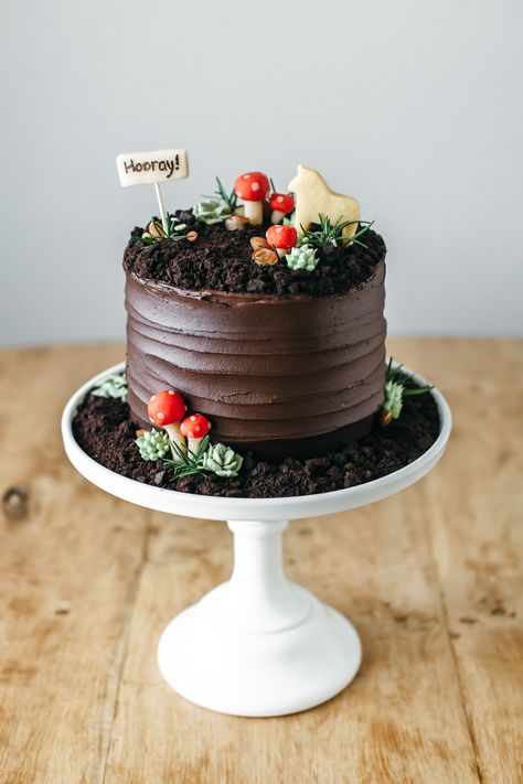 Nature Cake, Mushroom Cake, Halloween Food Dinner, Food Reference, Woodland Cake, Christmas Recipes Appetizers, Easy Holiday Recipes, Forest Cake, Cute Cakes