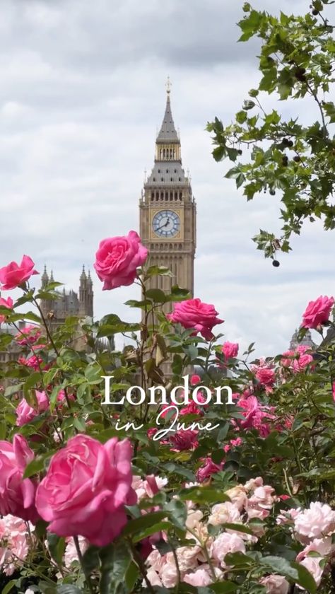 England In Spring, London In Summer, London In The Summer, London In Spring, London In June, Summer In London, Traveling Aesthetic, London Wallpaper, Visiting London