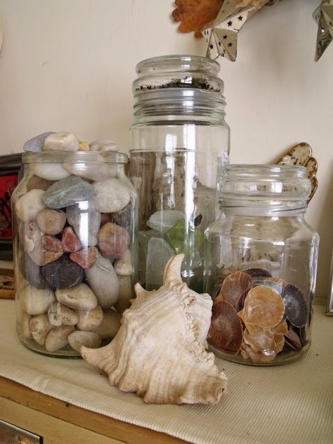 Wild Treasures: 5 Ways To Display Beachcombing Finds Beach Combing Art, Beachcombing Finds, Charleston House, Charleston Homes, Rock Decor, Witchy Decor, Beach Crafts, Beach Living, Beach Combing