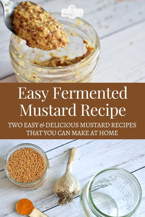 How to Make Fermented Mustard Fermented Mustard, Mustard Recipes, The Prairie Homestead, Homemade Mustard, Prairie Homestead, Emotional Eater, Homemade Sauerkraut, Mustard Recipe, Probiotic Benefits