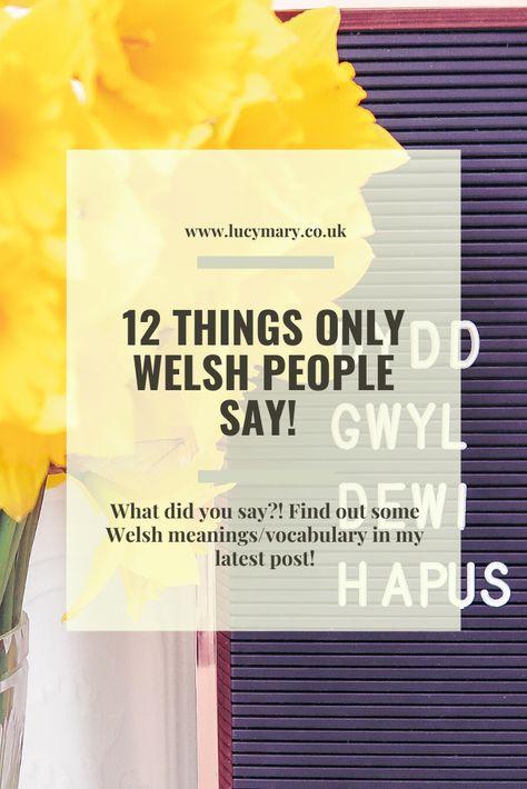 What did you say?! Learn about some Welsh words/vocabulary and what they mean in my latest post! Welsh Words And Meanings, Welsh Swear Words, Welsh Phrases, Welsh National Anthem, Welsh Sayings, Welsh People, Hug Cuddle, Welsh Christmas, Ireland And Scotland