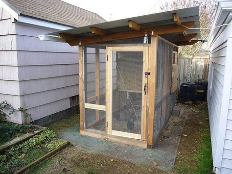 Originally Uploaded by benishs  What a great design! This tall, wooden coop is a fantastic example of working with the space that you have-... Narrow Chicken Coop, Narrow Side Of House Ideas, Chicken Pics, Raising Baby Chicks, Chicken Coop Ideas, Baby Chicks Raising, Chicken Diet, Coop Ideas, Chicken House