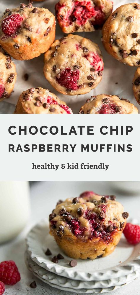 Healthy Raspberry Muffins, Raspberry Chocolate Chip Muffins, Chocolate Raspberry Muffins, Raspberry Chocolate Chip, Thick Yogurt, Yogurt Muffins, Raspberry Yogurt, Healthy Breakfast Muffins, Raspberry Muffins