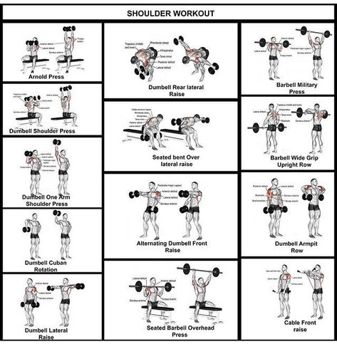 Shoulder workout complete guide Legs Shoulders Workout, Shoulder Circuit Workout, Leg And Shoulder Workout, Full Shoulder Workout, Shoulder Workouts For Men, Shoulder Workout At Home, Back Workout Men, Arm Workout Gym, Pull Workout