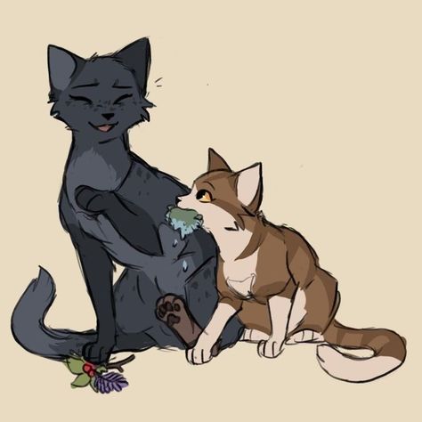 Tall Bf, Cat Medicine, Warrior Cat Memes, Warrior Cats Series, Warrior Drawing, Warrior Cats Books, Warrior Cats Fan Art, Warrior Cat Drawings, Warrior Cat Oc