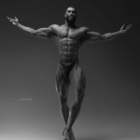 Chad Image, Giga Chad, Human Anatomy Drawing, Anatomy Poses, Body Reference Poses, Body Anatomy, Figure Poses, Anatomy Drawing, Human Poses