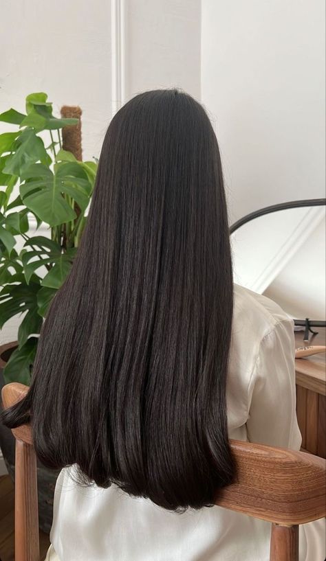 Long Silky Straight Hair, Long Black Thick Hair, Straight Black Hair Aesthetic, Silky Hair Aesthetic, Shiny Hair Aesthetic, Long One Length Hair, Thick Hair Aesthetic, Long Thick Straight Hair, Long Black Hair Aesthetic