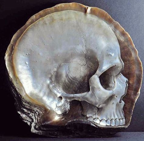 Pearl Human Skull, Skull Carving, A Skull, Skeletal, Crystal Skull, Skull And Bones, Pearl Shell, Mother Pearl, Memento Mori