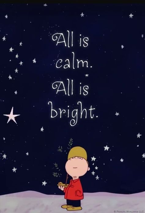 All Is Calm. All Is Bright Pictures, Photos, and Images for Facebook, Tumblr, Pinterest, and Twitter All Is Bright, All Is Calm, Merry Christmas Quotes, Peanuts Christmas, Snoopy Love, Charlie Brown Christmas, Snoopy Christmas, Charlie Brown And Snoopy, Christmas Scenes