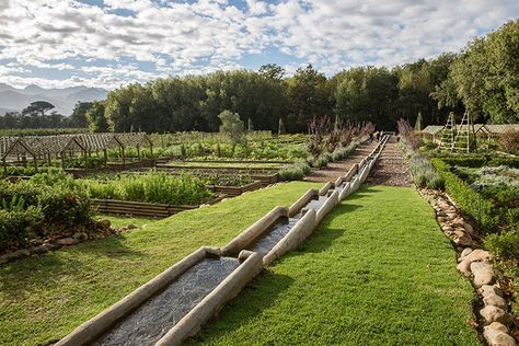 Garden With Orchard, Beautiful Fruit Garden, Orchard Garden Design, Farm Layout 10 Acres, Homestead Architecture, Orchard Design, Farm Building, Orchard Garden, Farm Layout