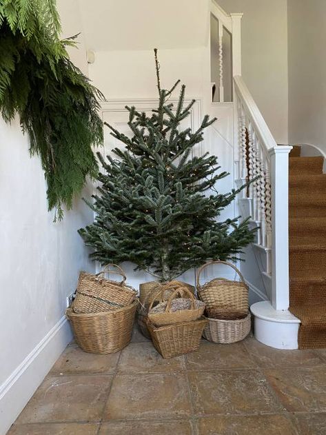 DIY Holiday Decor: Foraged Foliage Decorations in Designer Maria le Mesurier's Home - Gardenista Foraged Christmas, Two Christmas Trees, Natal Natural, Natural Holiday Decor, Reading Diy, Gathering Table, Crabapple Tree, Diy Holiday Decor, Public Garden