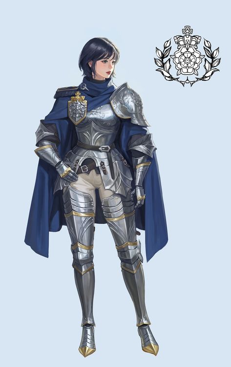 Suit Of Armor Reference, Knight Outfit Female, Paladin Outfit, Mage Armor, Paladin Armor, Medieval Character, Knight Outfit, Armor Drawing, Knight Costume