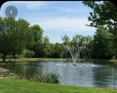 Dior Hotel, Neighborhood Aesthetic, Decelis Academy, Farm Pond, Building A Pond, Fountains Backyard, Pond Ideas, Pond Fountains, Natural Pond