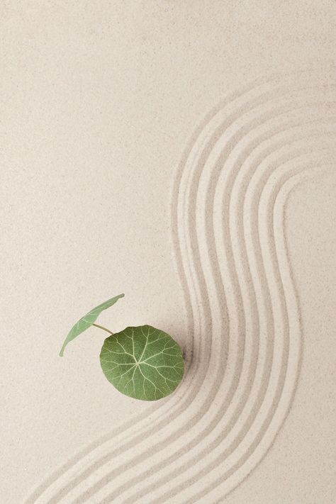 Zen Aesthetic Art, Stability Wallpaper, Sand Product Photography, Health And Wellbeing Aesthetic, Wellness Aesthetic Photography, Resilience Aesthetic, Still Life Background, Wellness Background, Wellbeing Aesthetic