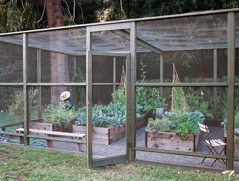 YES! Screened in garden with raised beds.  Keeping out birds, large bugs, dogs, and chickens Screened In Garden, Garden With Raised Beds, Plan Potager, Vegetable Beds Raised, Vegetable Garden Raised Beds, Gardens Ideas, Garden Area, Garden Types, Veg Garden