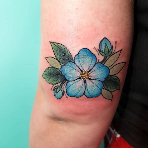 2/2 of Emma's little matching blue blossoms.   @withlovetattoo #tattoo #tattoos #ink #flower #flowertattoo #blossom #blossomtattoo #blueflower #smalltattoo #cutetattoo Blue Flower Tattoo, Darling Tattoo, Blue Flower Tattoos, Flower Spine Tattoos, Turtle Tattoo Designs, Turtle Tattoo, Blossom Tattoo, Spine Tattoos, Flower Tattoo Designs