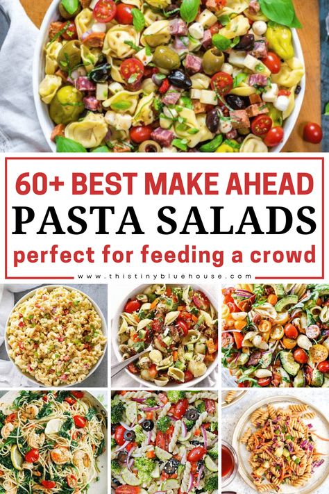 Here are over 60 delicious cheap and easy pasta salad recipes that are perfect as a weeknight meal or for a BBQ. The best part is they are an easy and delicious way to feed a crowd. Pastas For A Crowd, Main Meal Pasta Salad Recipes, Pasta Dish For Large Group, Cold Dishes For A Crowd, Party Pasta Salads For A Crowd, Pasta Salad For A Crowd Parties Cold, Cheap Sides For A Crowd, Cold Sides For A Crowd, Easy Salad For A Crowd