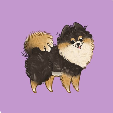 by Jessica Bretherton (Advocate Art) Pomeranian Art Illustrations, Pomeranian Dog Drawing, Felix Argyle, Spitz Puppy, Dog Animation, Canvas Collage, Puppy Art, Dog Sketch, Canine Art