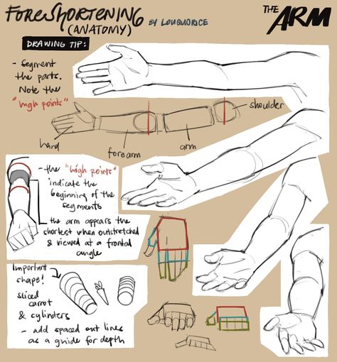 Draw Hands, Anatomy Tutorial, Drawing Hands, Digital Sketch, Human Anatomy Drawing, Character Artist, Hand Drawing Reference, Human Anatomy Art, Anatomy Sketches