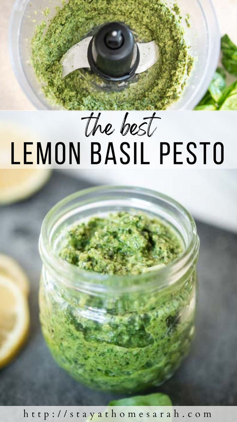 Easy Lemon Basil Pesto Recipe - Stay at Home Sarah Home Made Pesto, Easy Pesto Recipe, Sourdough Pasta, Lemon Basil Pesto, Basil Pesto Recipe, Basil Pesto Recipes, Sourdough Sandwich, Savory Herb, Herb Sauce