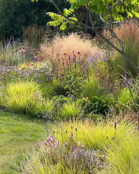 Landscaping With Native Grasses, Grasses, Ornamental Grass Garden Plan, California Native Grasses, Calamagrostis X Acutiflora 'karl Foerster', Naturalistic Garden, Natural Landscaping, Prairie Planting, Prairie Garden