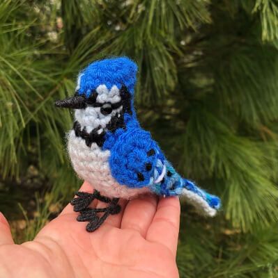 10 Blue Jay Crochet Patterns Crochet Blue Jay, Jay Crochet, Beady Eyes, Crochet Bird, Crochet Bird Patterns, Blue Jay Bird, Bird Free, Crochet Birds, Bird Figure