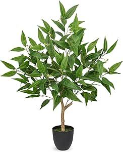 3ft Artificial Eucalyptus Tree, Large Faux Eucalyptus Tree in Black Pot Fake Floor Plant Potted Faux Plants Indoor Tall Artificial Trees for Indoor, Outdoor, House Living Room Office Decor Faux Eucalyptus Tree, Indoor Outdoor House, Faux Eucalyptus, Artificial Eucalyptus, Outdoor House, Fake Trees, House Living Room, Potted Plants Outdoor, Eucalyptus Tree