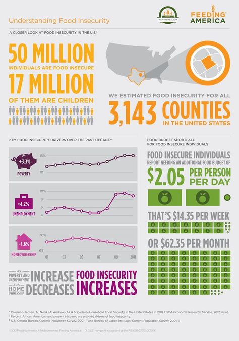 Food Justice, Food Infographic, World Hunger, America Food, Food Insecurity, Feeding America, Social Determinants Of Health, Funny Dog Memes, Food System