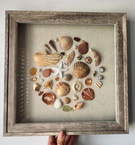 Seashell Shadow Boxes, Seashell Artwork, Shell Artwork, Beach Crafts Diy, Seashell Art Diy, Shell Display, Seashell Projects, Seashell Wall Art, Shell Crafts Diy