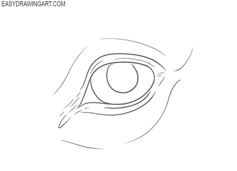 how to draw a horse eye for beginners How To Draw Horse Eyes, How To Draw A Horse Eye, How To Draw A Horse Head, Horse Eyes Drawing, How To Draw A Horse, Drawing Horse Eyes, Horse Eye Drawing, How To Paint A Horse Eye, Drawing Horse Head Step By Step