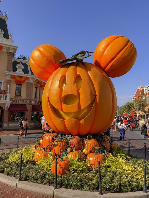 Disneyland Fall, Disney World Fall, Fall Disney, Disney Halloween Aesthetic, Disney World Fall Aesthetic, Disneyland Fall Aesthetic, Disney Fall, Disneyland Pumpkin Pictures, Disneyworld Halloween Aesthetic