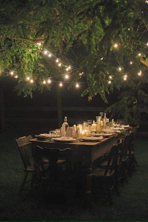 Backyard Trees, Outdoor Party Lighting, String Lights Wedding, Under A Tree, Outdoor Dinner, Table Set Up, Creative Gardening, Outdoor Backyard, Dining Table Set